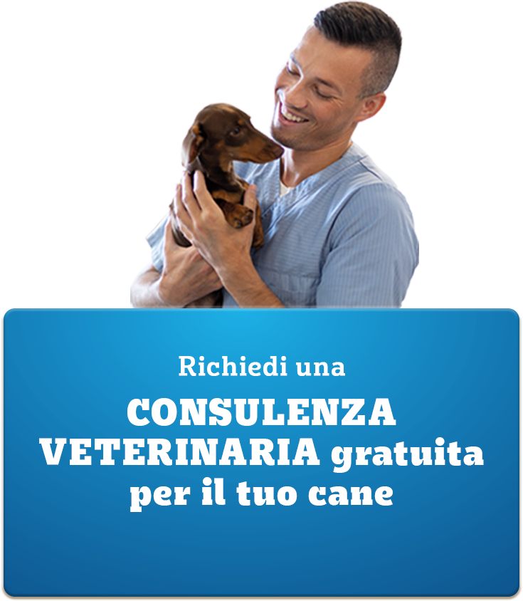 richiedi una consulena veterinaria gratuita per il tuo cane